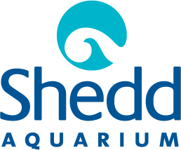 Shedd Logo
